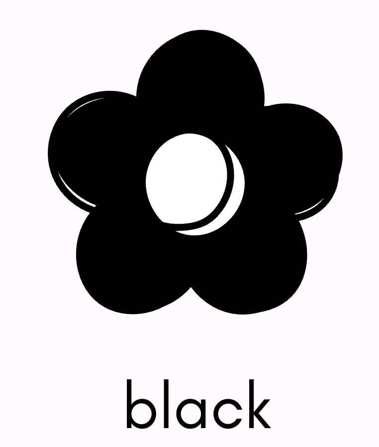 Cotton - Black