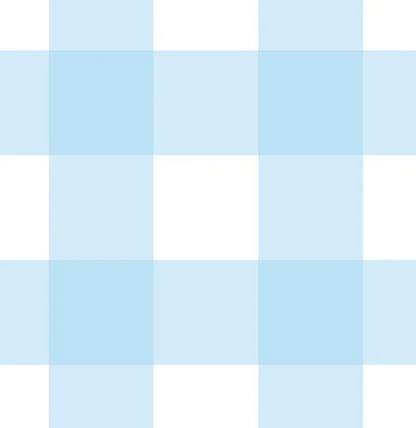 Cotton - Baby Blue Check (Large)