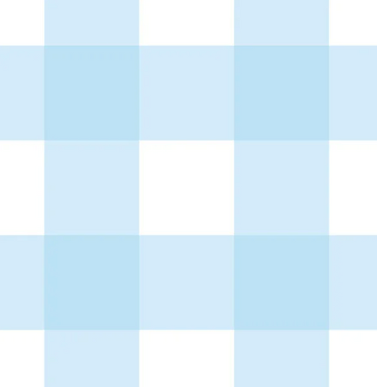 Cotton - Baby Blue Check (Large)